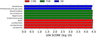 Effects of replacing hybrid giant napier with sugarcane <mark class="highlighted">bagasse</mark> and fermented sugarcane <mark class="highlighted">bagasse</mark> on growth performance, nutrient digestibility, rumen fermentation characteristics, and rumen microorganisms of Simmental crossbred cattle